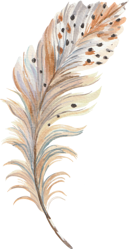 Watercolour Feather